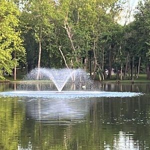 Meet your Posher, Amadeo